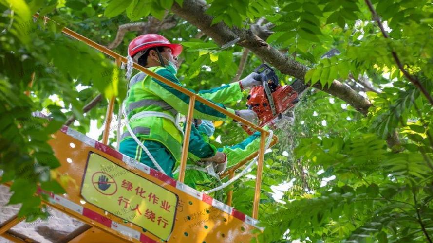 大型小溪流水绿化工程项目